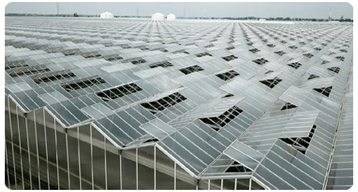 gardeneryhouse cam sera