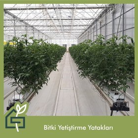 bitki yetiştirme yatakları