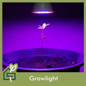 growlight