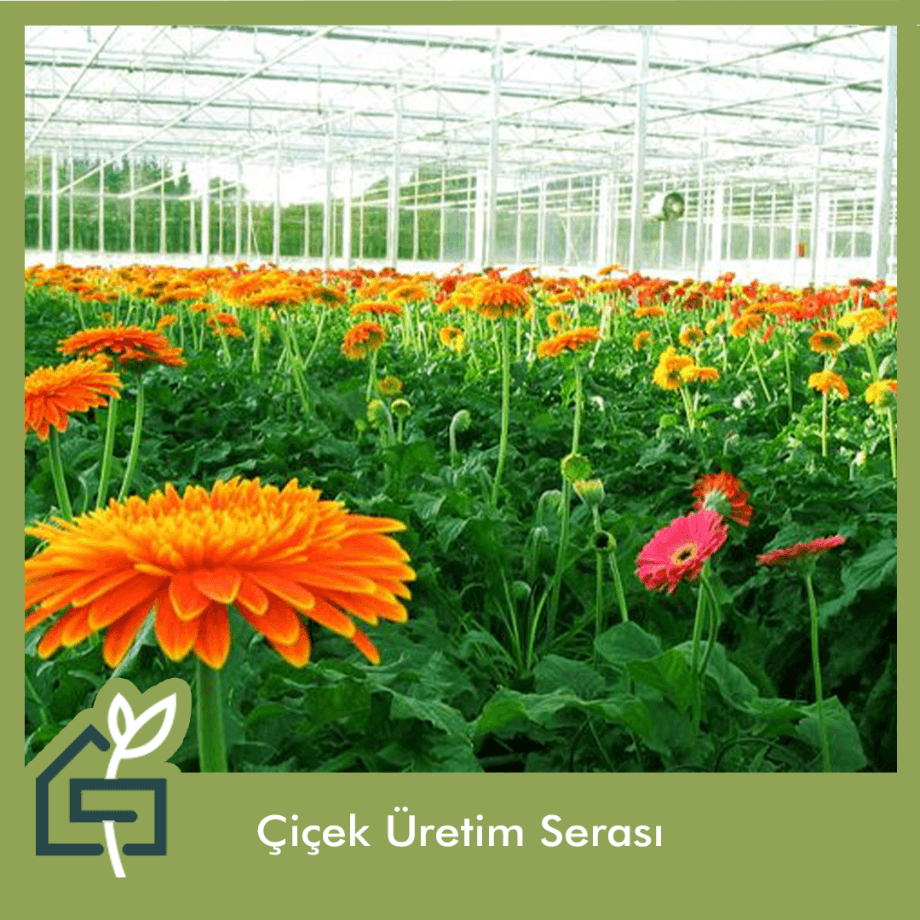 çiçek üretim serası (1)