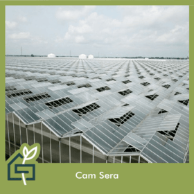 cam sera