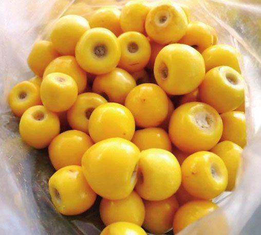 nance fruit