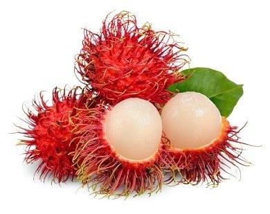 rambutan